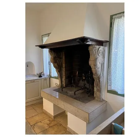 Ines * 포브델그라파